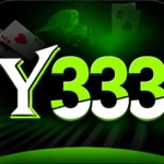 Y333 Game